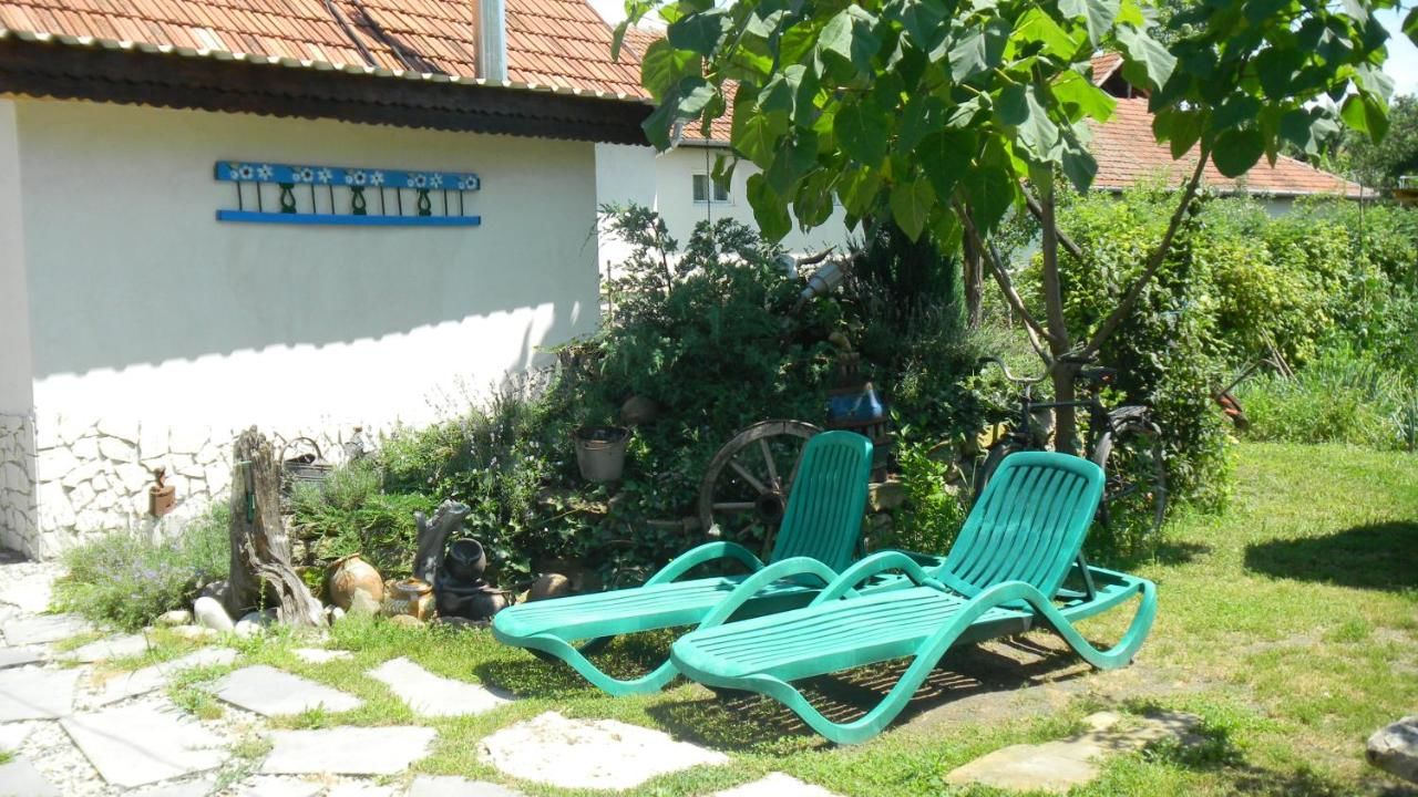 Проживание в семье Casa Cezara Silvaşu de Jos-34