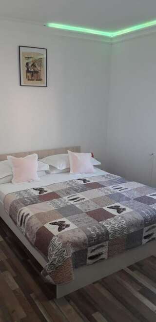 Проживание в семье Casa Cezara Silvaşu de Jos Двухместный номер с 1 кроватью и собственной ванной комнатой-2