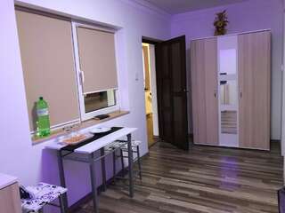Проживание в семье Casa Cezara Silvaşu de Jos Двухместный номер с 1 кроватью и собственной ванной комнатой-3