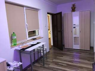 Проживание в семье Casa Cezara Silvaşu de Jos Двухместный номер с 1 кроватью и собственной ванной комнатой-8