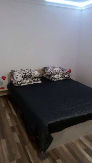Проживание в семье Casa Cezara Silvaşu de Jos Двухместный номер с 1 кроватью и собственной ванной комнатой-20