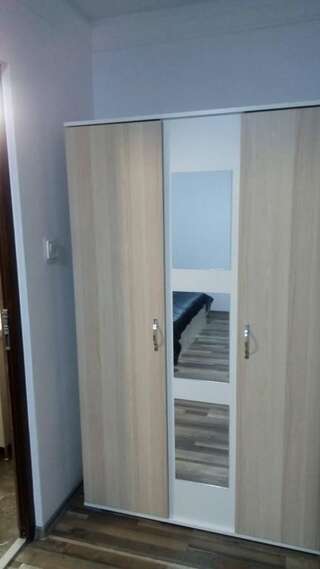 Проживание в семье Casa Cezara Silvaşu de Jos Двухместный номер с 1 кроватью и собственной ванной комнатой-21