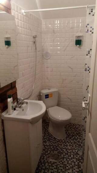 Проживание в семье Casa Cezara Silvaşu de Jos Трехместный номер с собственной ванной комнатой-6